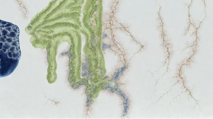 An AI-processed biogenic histology example in the film